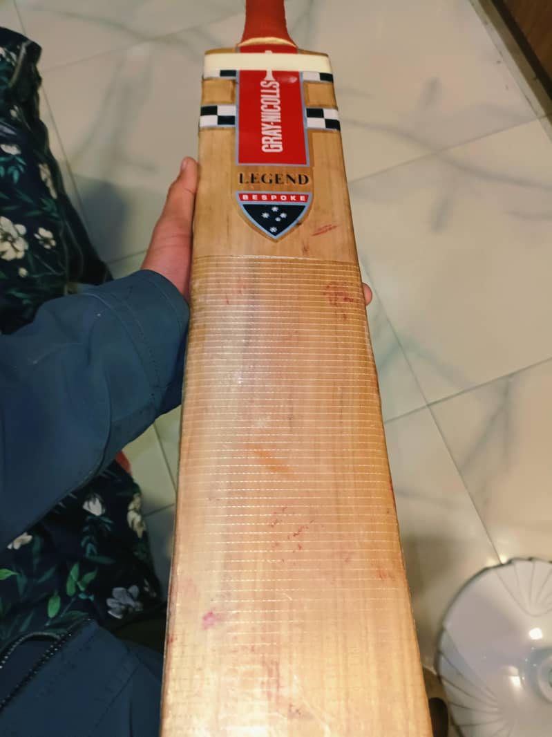 cricket bat 2