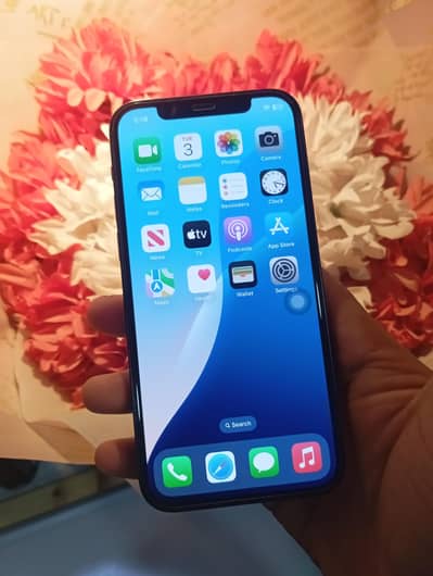 64 gb storage Mobile condition 10/10 battery 89% non pta