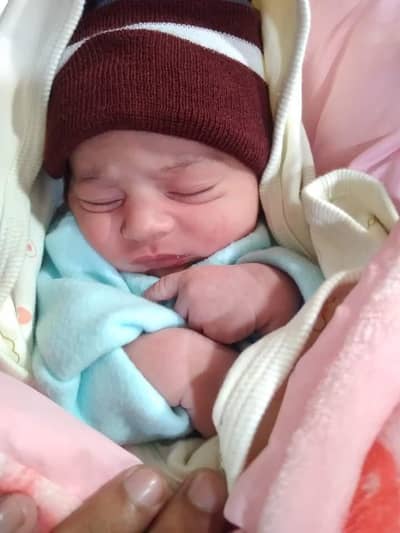 baby sitter and  office job