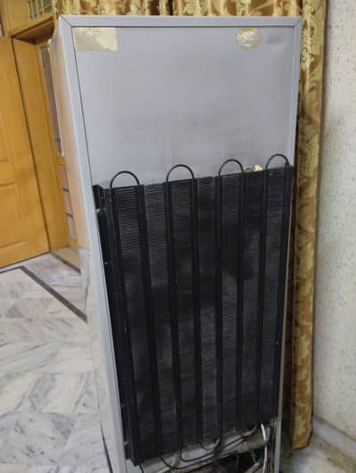 bilkul tiktak fridge hy