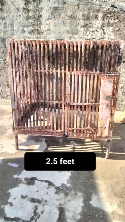 Hen cage /  Pinjra / iron cage / Khuda