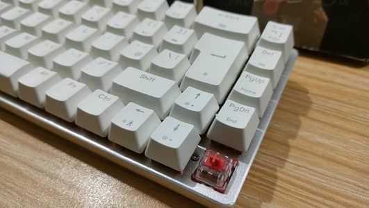 Mechanical Keyboard TKL Red switches White