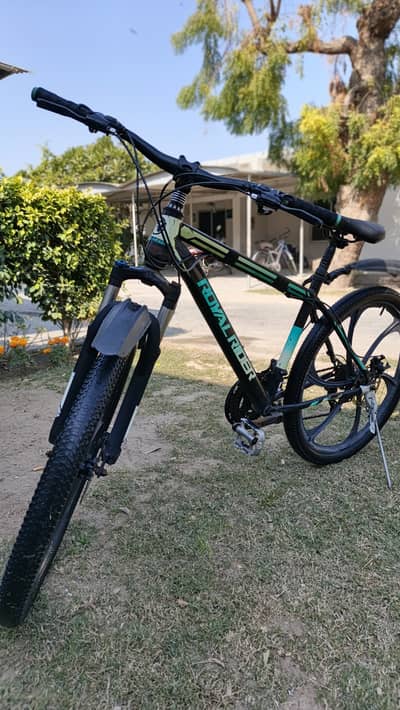 Royal Rider bicycle for sale