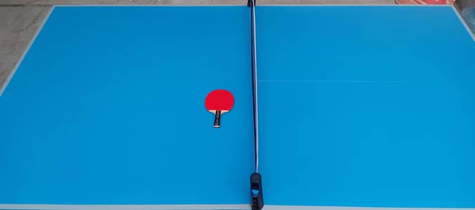 TABLE TENNIS TABLE  AND ACCESSORIES