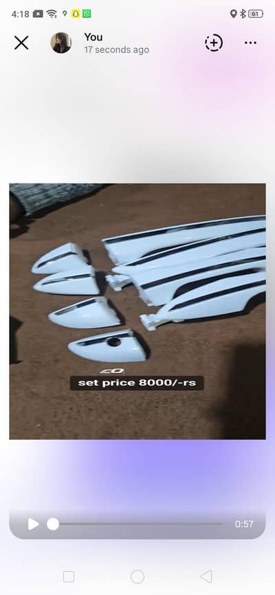 Tayota chrome handles