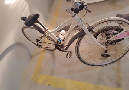 imported sports bicycle