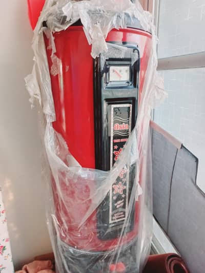 30 gallon brand new geyser