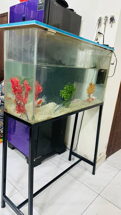 Fish Aquarium with 9 Fishes Iron Stand Complete Setup