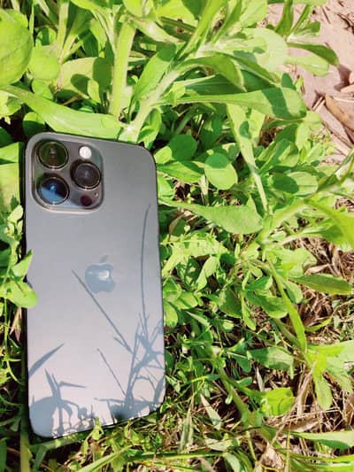 14 pro max factory unlock