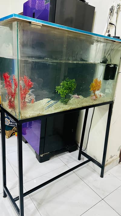 Fish Aquarium with 9 Fishes Iron Stand Complete Setup