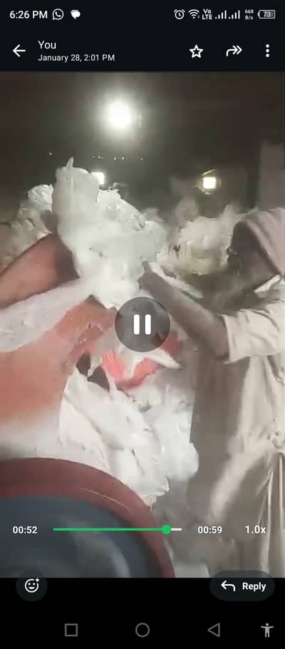 Plastic shopper and pet bottle 14 inch crusher with 30HP motor