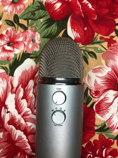 blue yeti mic