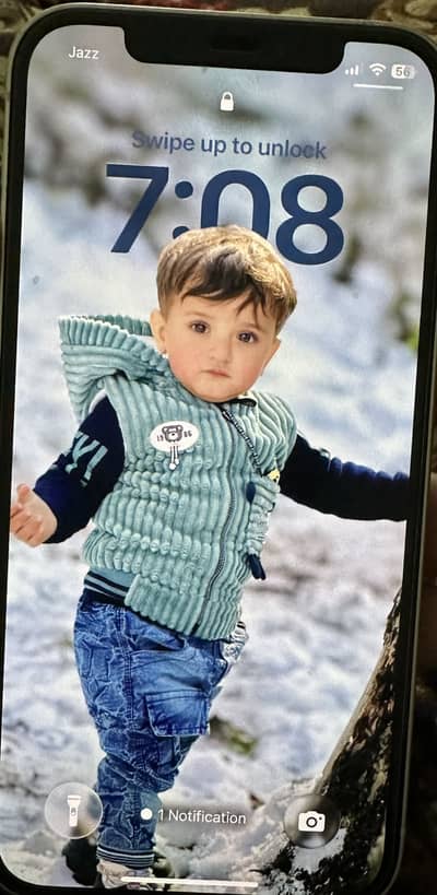 Iphone 12 pta approved