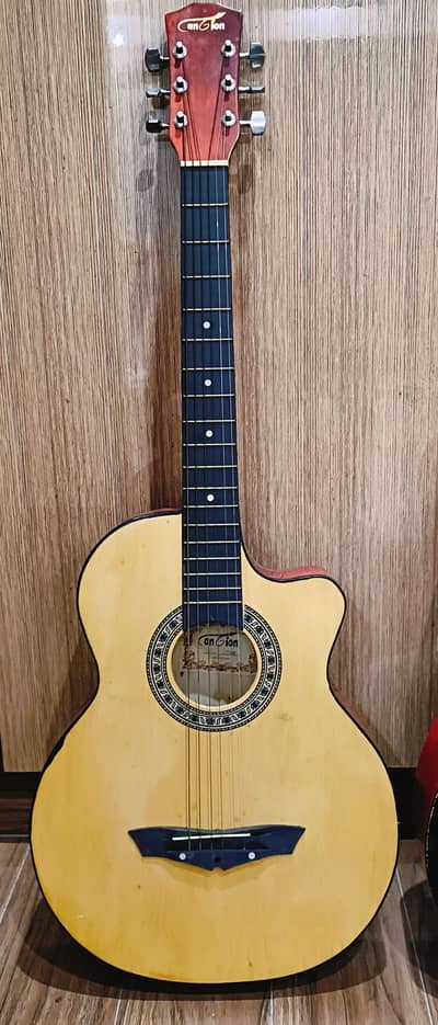 Antion Acoustic Guitar