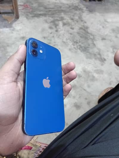 I phone 12