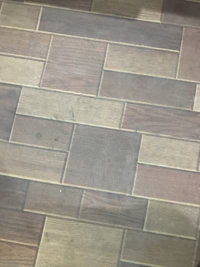 Dentist, dental doctor