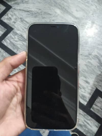 Apple iPhone 12 Pro Max jv