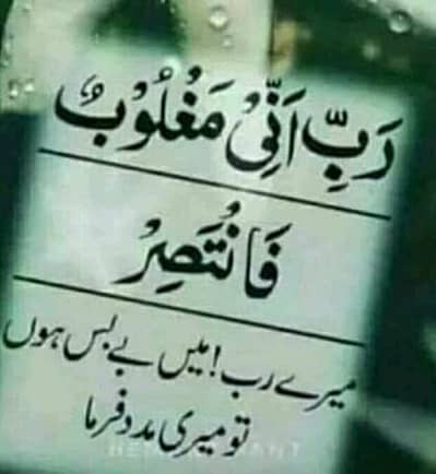 Female Assistant Required