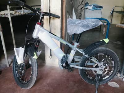 BDF Sports Cycle New Hay