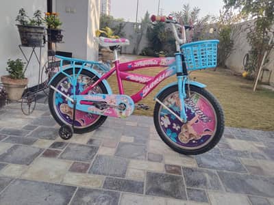 girls cycle 20 inch new condition