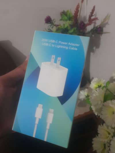 Iphone original charger