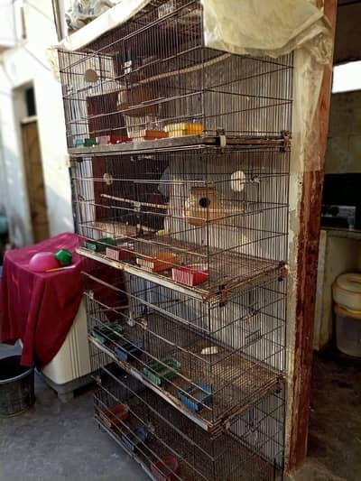 folding master cage for sale