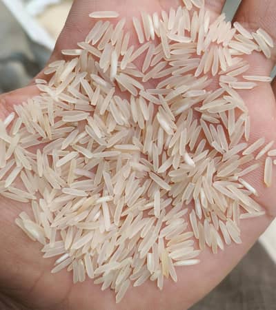 kainat steam rice