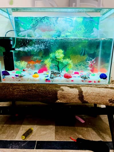 Fishing tank for urgent sale in low price