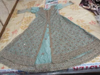 Langa and Maxi for Sale