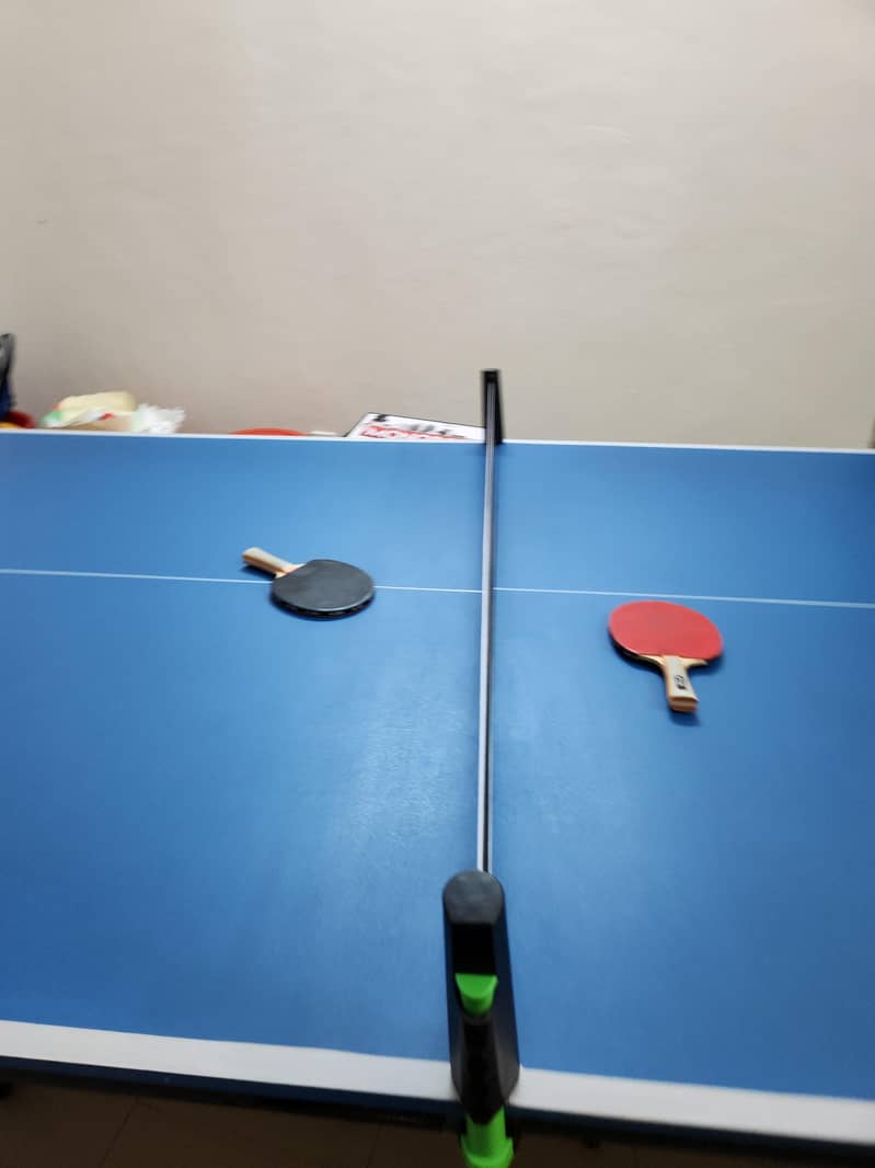 Table Tennis table 0