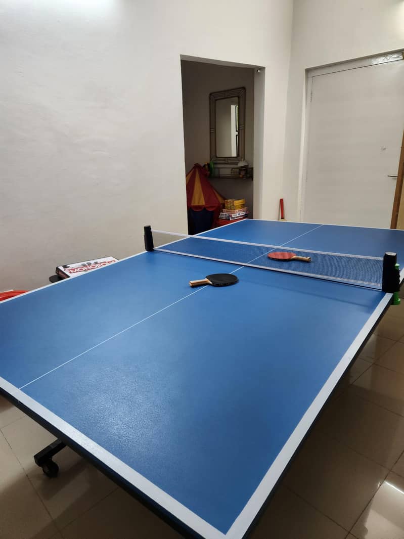 Table Tennis table 1