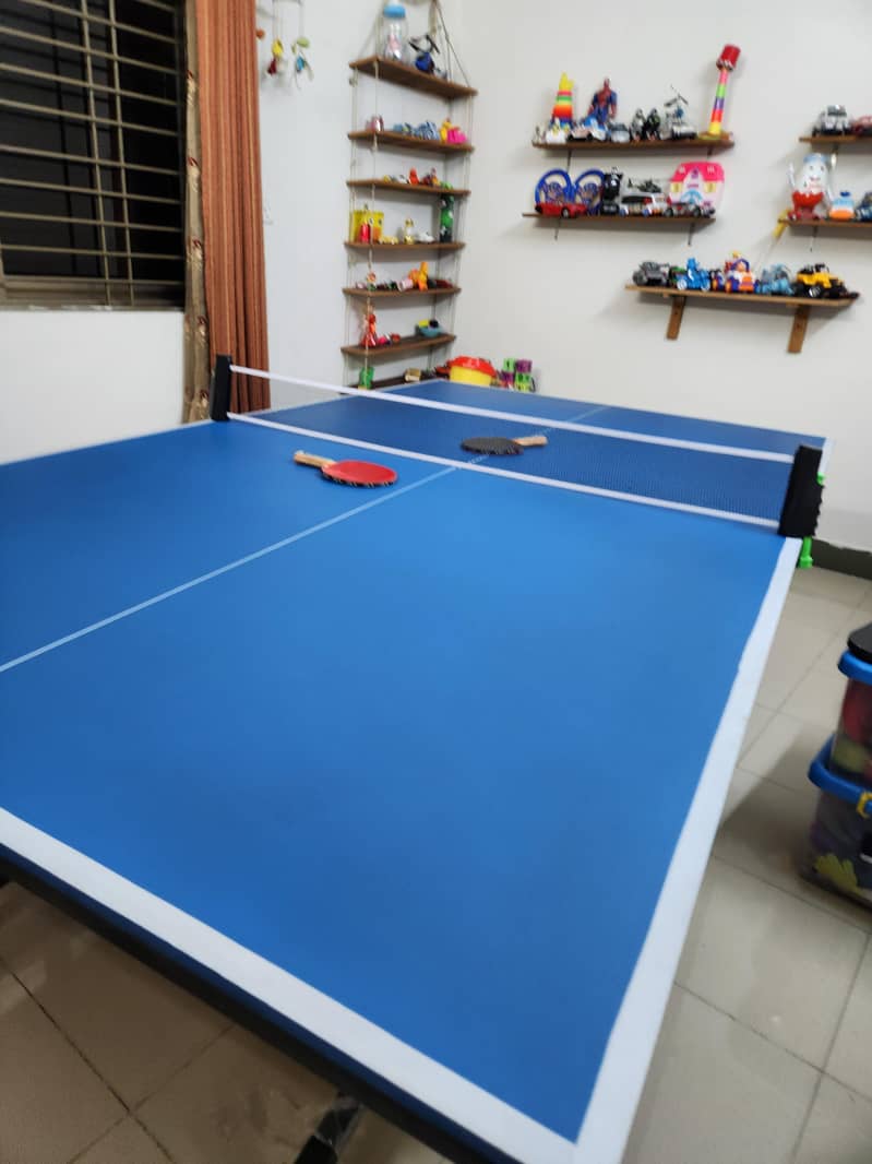 Table Tennis table 2