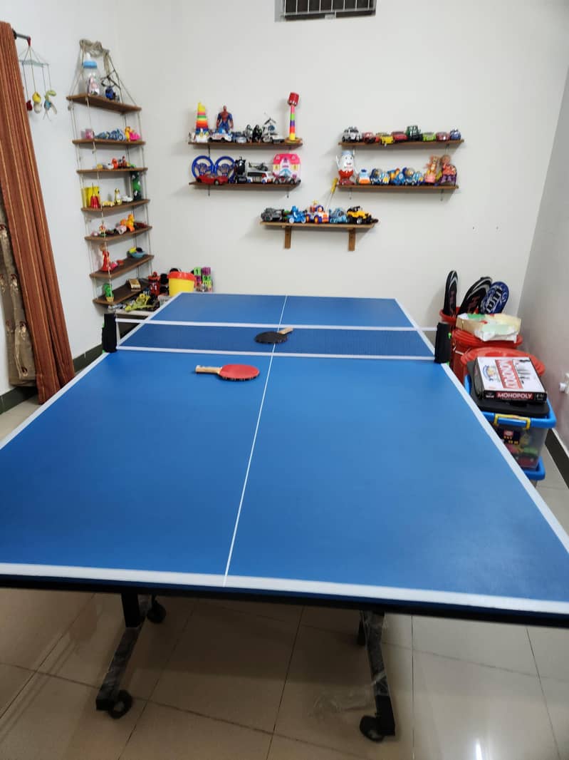 Table Tennis table 3
