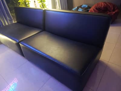 double sitter sofa's