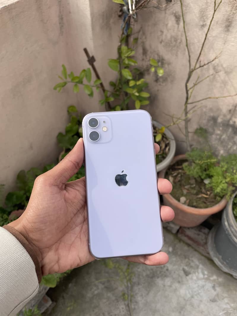 iPhone 11 0