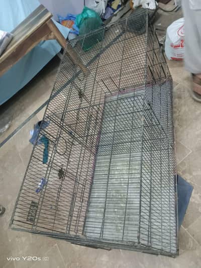 parrot cage