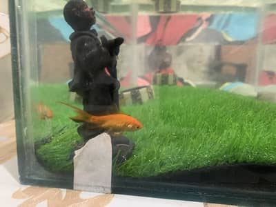 Fish equarium 2 by 1.5 by 1 foot