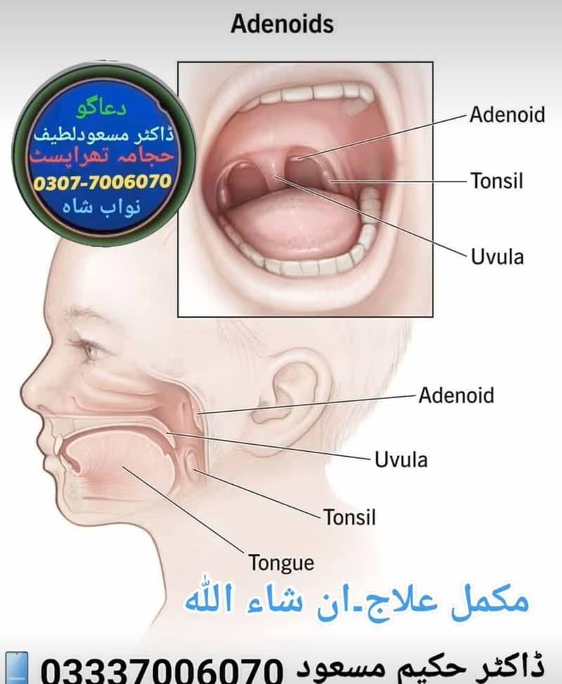 سکون والی زندگی گزاریں 2