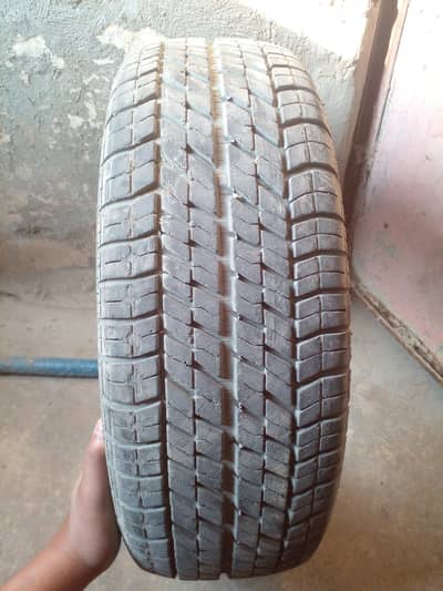 holl sale  tyre