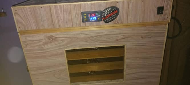 240 eggs incubator