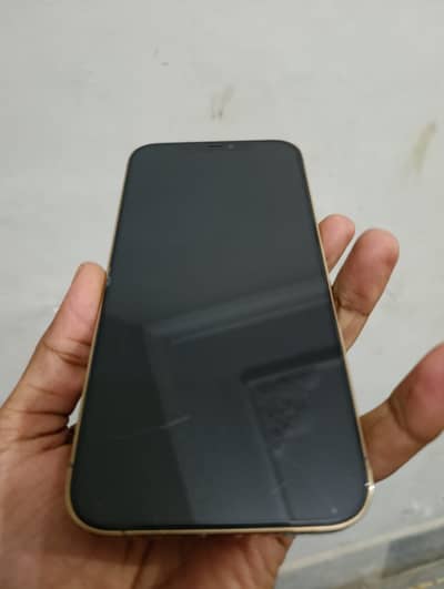 IP 12pro max jv 256gb pta approved box and phone