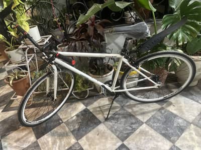 Japanese Imported Cycle