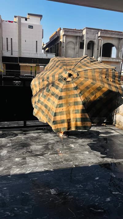 4 chairs and an umbrella urgent for sale