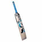 Hard Ball Cricket Bat