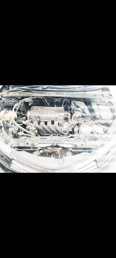 GLI 2015, Lahore Registerd,