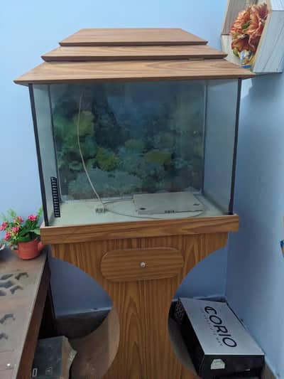 Aquarium for sale
