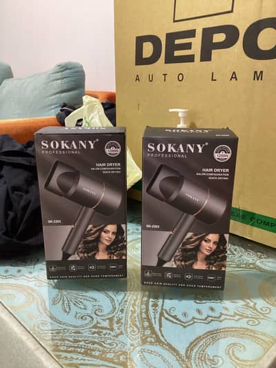 Professional Hair Dryer