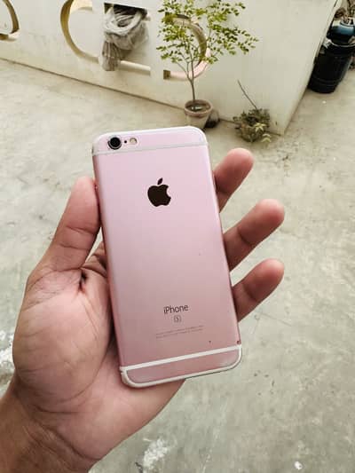 iPhone 6S Pta Approved