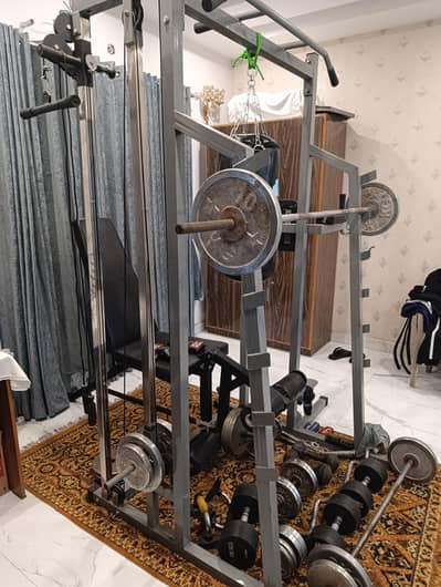 multi gym for squats pull ups dips pully etc