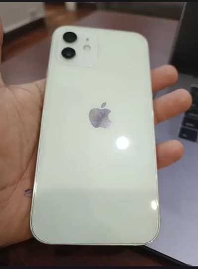 iPhone 12 all ok Hai just panel Change